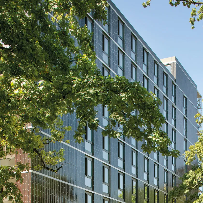 Глазурована плитка LISTELO SKIN