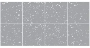 MBI GeoCeramica format 75 x 75 x 4
