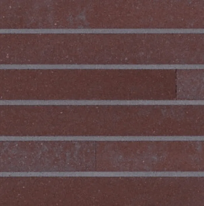 GeoStylistix Shaded Coral