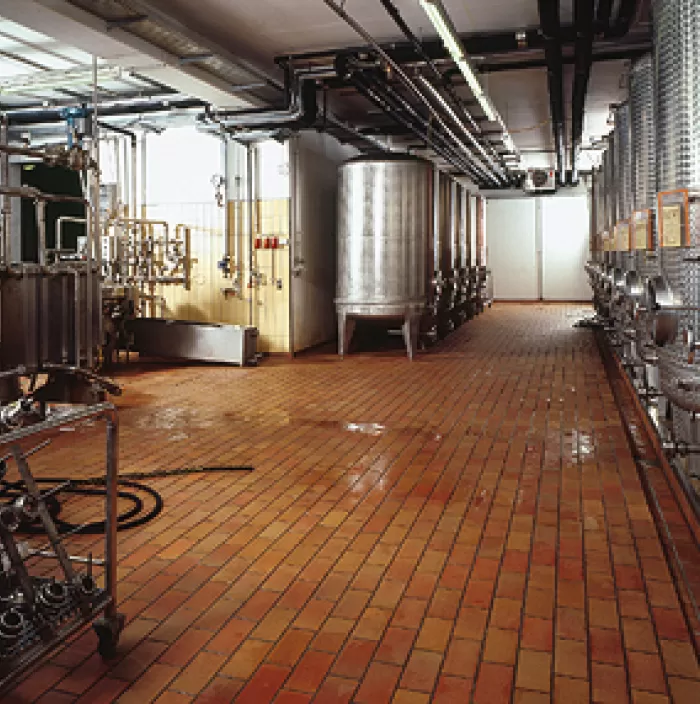 Для пивоваренных заводов немецкая плитка напольная и настенная
