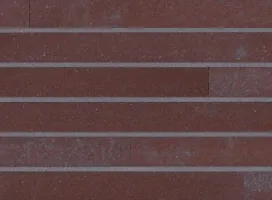 GeoStylistix Shaded Coral