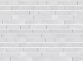 Crispy White