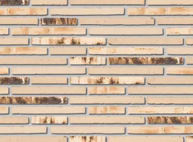 Joseph Bricks Giulia