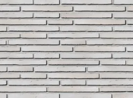 Joseph Bricks J. Adams