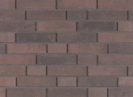 Shaded Brown/Black
