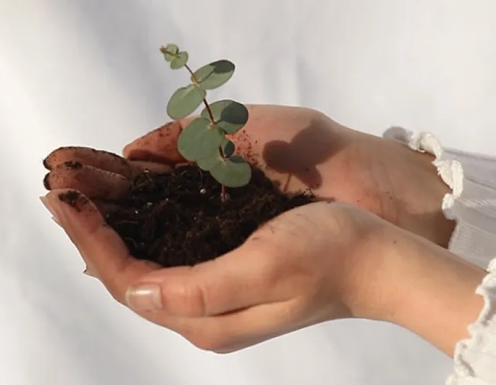 Плитка для бассейна Mayor > Параграфы